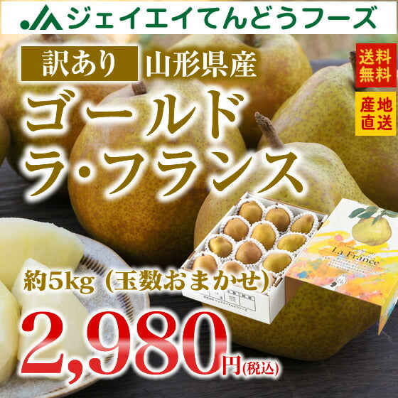 【訳あり】山形県産洋梨ゴールドラフランス約5kg(玉数おまかせ)【送料無料】※北海道・九州・沖縄・一部離島を除く