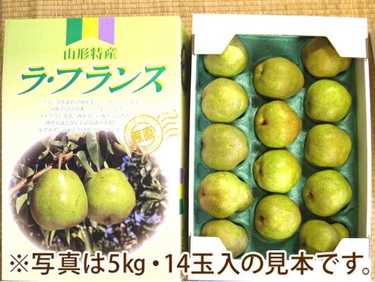 【フルーツ 山形県 ラフランス 洋梨】山寺観光果樹園山形県産　高級ラ・フランス 3L 3kg（9個～10個）贈答品 送料無料【果物 贈答品 ギフト プレゼント】