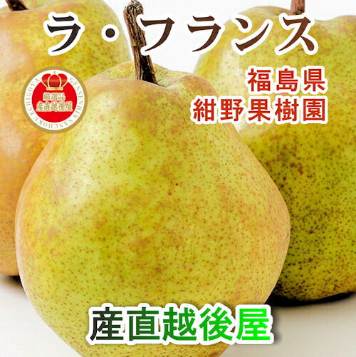【フルーツ 福島県 ラフランス 洋梨】福島県福島市 フルーツ街道 紺野果樹園福島県産 完熟ラ・フランス 5kg 家庭用 送料無料【果物 贈答品 ギフト 】