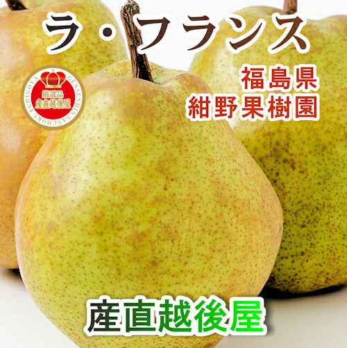 【フルーツ 福島県 ラフランス 洋梨】福島県福島市 フルーツ街道 紺野果樹園福島県産 完熟ラ・フランス 5kg 家庭用 送料無料【果物 贈答品 ギフト 】