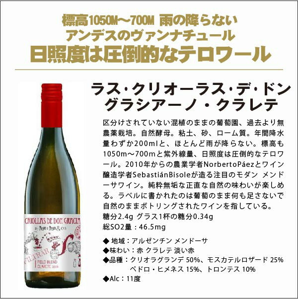 【送料無料】注目トレンド！ナチュラルワイン厳選クラレテを集めたワインセット【北海道・東北・四国・九州・沖縄県は必ず送料がかかります】
