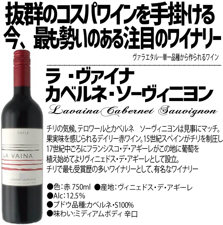 【送料無料】ワイン セットチリカベ 飲み比べセット 750ml×6本【北海道・沖縄県・東北・四国・九州地方は必ず送料がかかります】