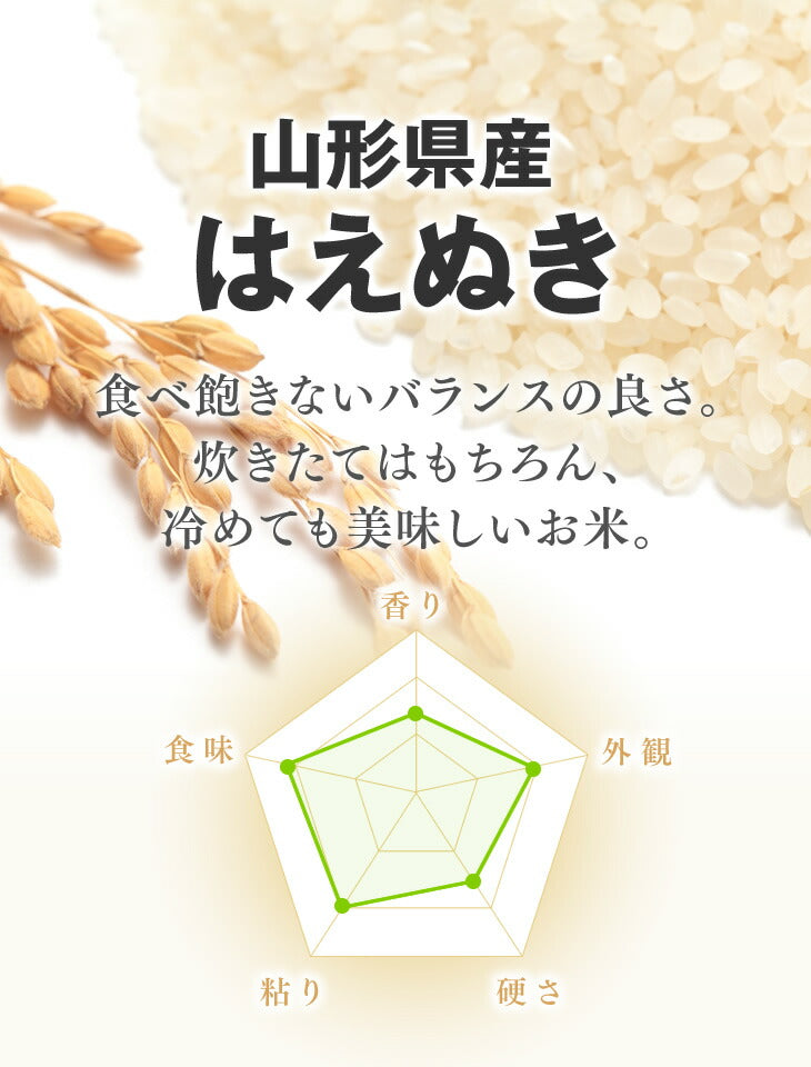 米 無洗米 令和4年産 10kg 山形県産はえぬき無洗米10kg(5kg×2)