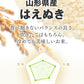 米 送料無料 5kg 令和3年産　山形県産　はえぬき精米5kg 一部地域は別途送料追加 rhn0503