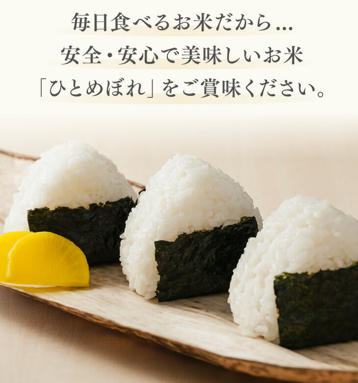 新米 5kg 送料無料 令和3年産 山形県産 ひとめぼれ 精米　5kg　送料無料※一部地域を除く ryi0503