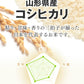 米 5kg コシヒカリ 送料無料 令和3年産　山形県産コシヒカリ精米　5kg ※一部地域は別途送料追加 ryk0503