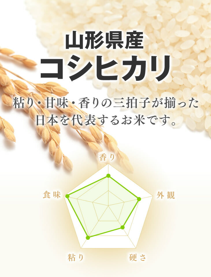 米 5kg コシヒカリ 送料無料 令和3年産　山形県産コシヒカリ精米　5kg ※一部地域は別途送料追加 ryk0503