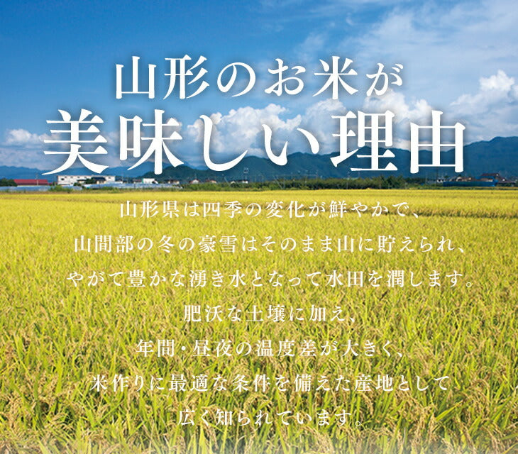 【お試し★10%OFF】米 5kg 送料無料 令和元年産 山形県産 雪若丸5kg 精米 ※一部地域は別途送料追加 お米 コメ ryy0501