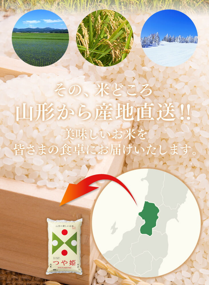 【お試し★10%OFF】米 5kg 送料無料 令和元年産 山形県産 雪若丸5kg 精米 ※一部地域は別途送料追加 お米 コメ ryy0501