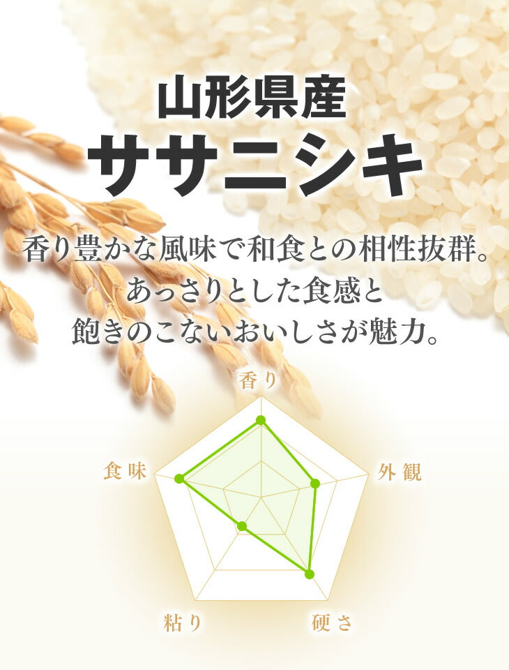新米 送料無料 令和3年産 山形県産ササニシキ精米5kg 送料無料※一部地域は別途送料追加 rys0503