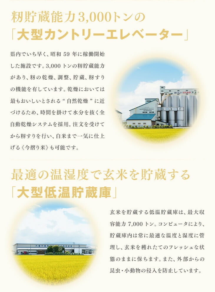 米 無洗米 令和4年産 10kg 山形県産はえぬき無洗米10kg(5kg×2)