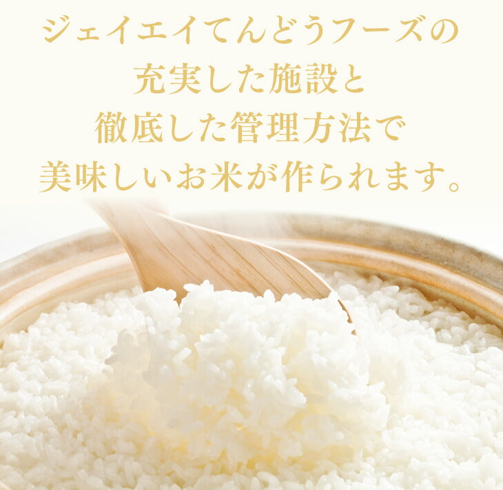 【お試し★10%OFF】米 5kg 送料無料 令和元年産 山形県産 雪若丸5kg 精米 ※一部地域は別途送料追加 お米 コメ ryy0501