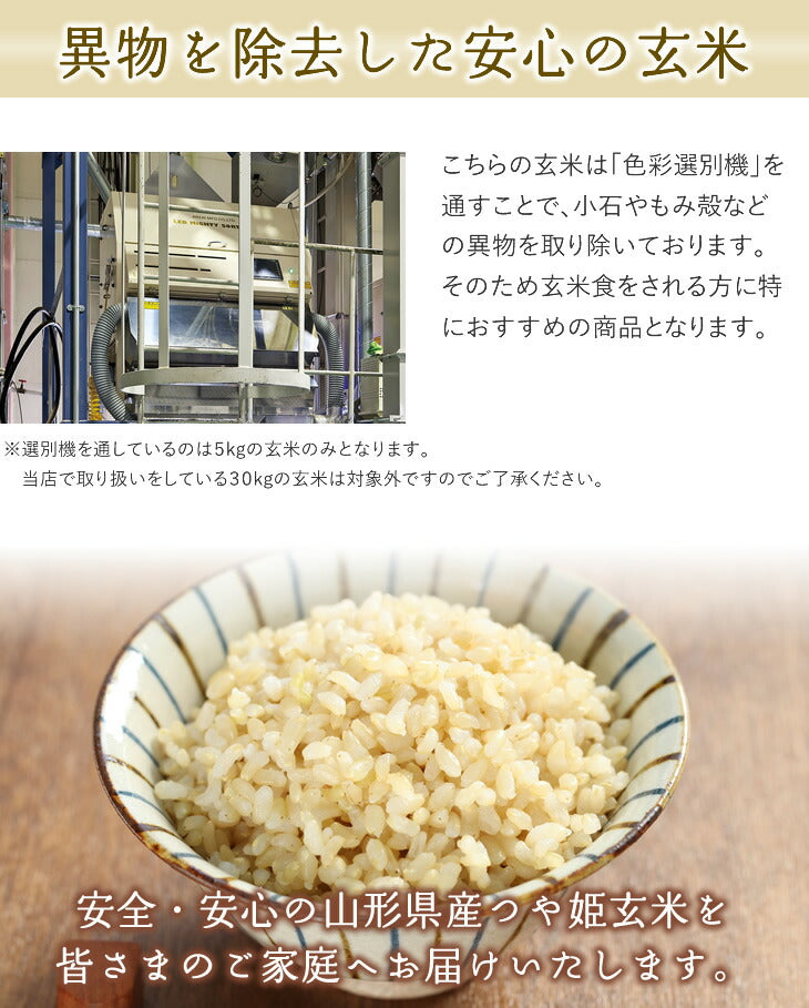 【玄米】 米 お米 令和元年 山形県産 つや姫 調整玄米 20kg ※８月下旬より出荷開始 【抜群の旨み、甘み、香り】 rtz2002