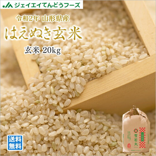 【玄米】 米 お米 令和2年 山形県産 はえぬき 調整玄米 20kg 【ふっくら、もっちり、弾力◎】 rhz2002