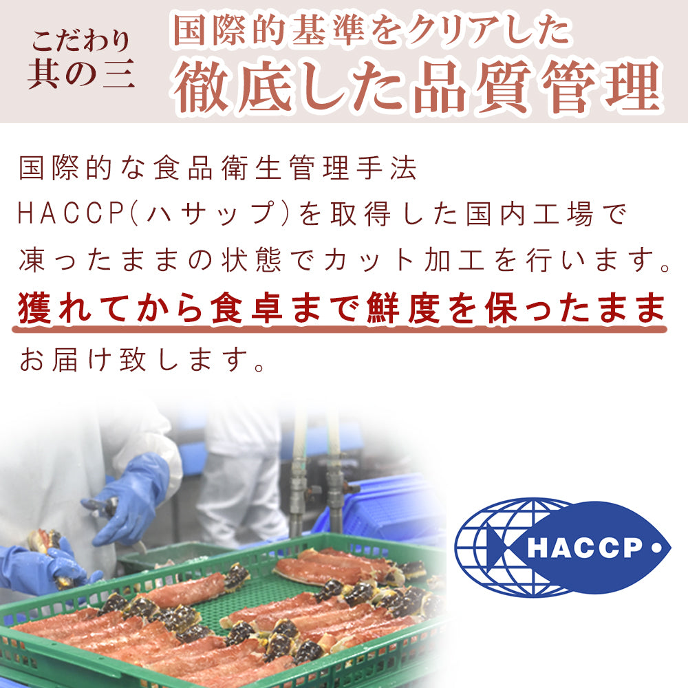 ズワイガニ ハーフポーション 500g 2～3人前 冷凍（ボイル）【ブラックフライデー・サイバマンデー特別価格】