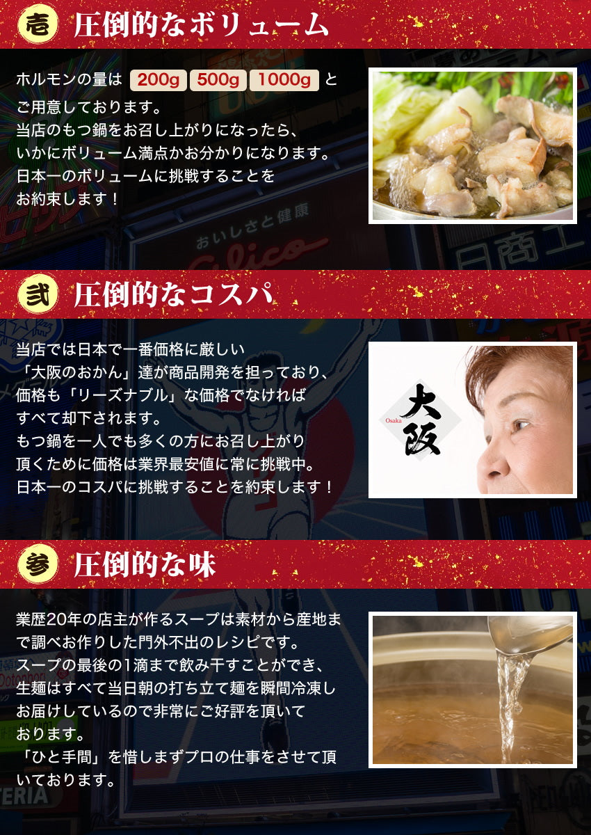 2～3人前 セット博多もつ鍋