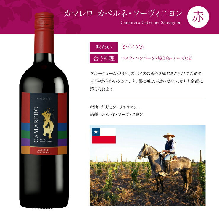 ソムリエが選ぶ 世界の赤ワイン セット 750ml×6本 チリ フランス イタリア スペイン 南アフリカ 送料無料
