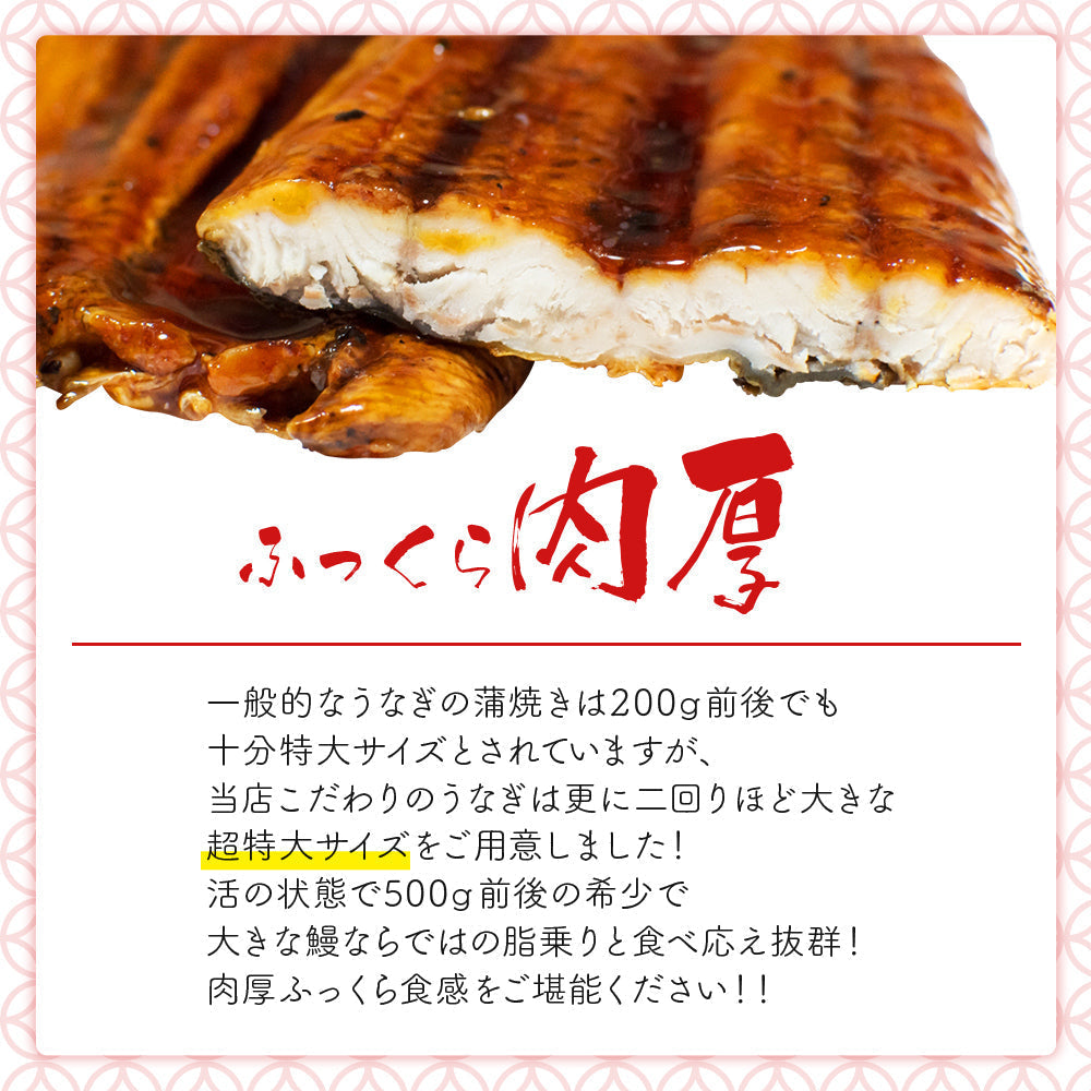 【3人シェア買いでお得】うなぎ 蒲焼き 国産ではございませんがふっくら柔らか 肉厚 超特大 五尾セット 250g前後×5パック ウナギ 鰻 およそ15人前 たれと山椒付き 土用 丑の日 長焼き 訳あり 送料無料