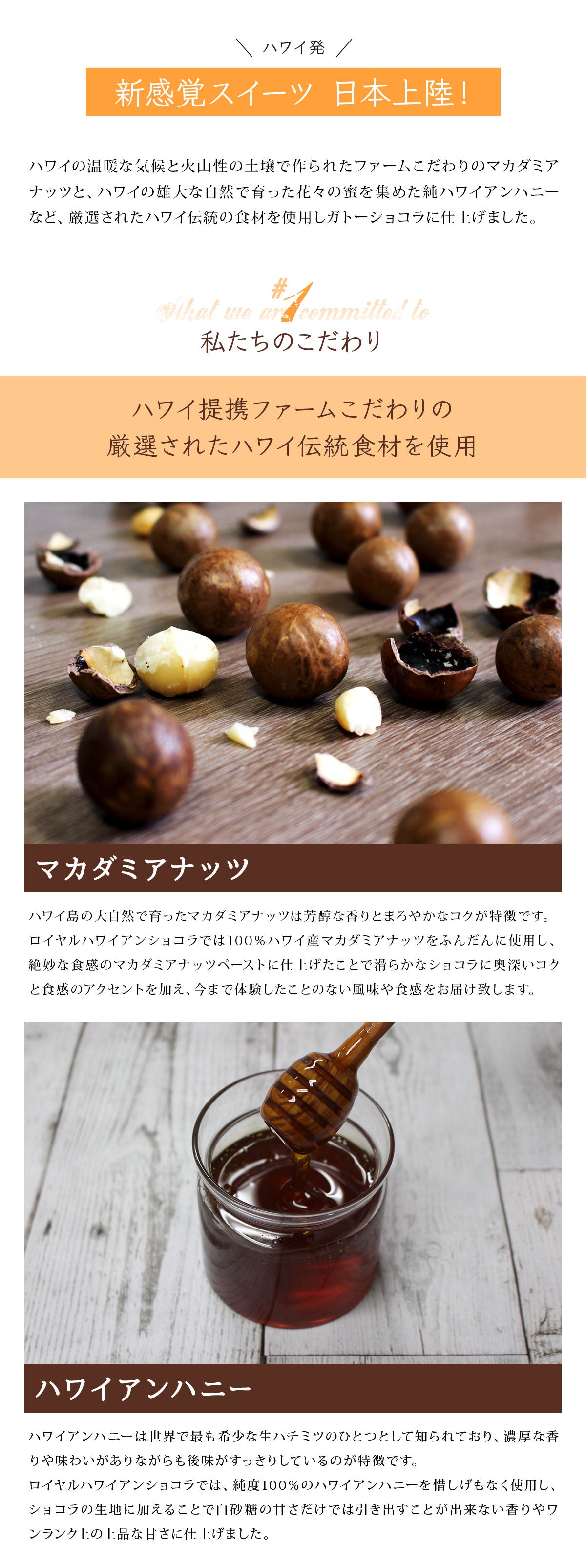 280g ハワイ発！新感覚 ロイヤルハワイアンショコラ
