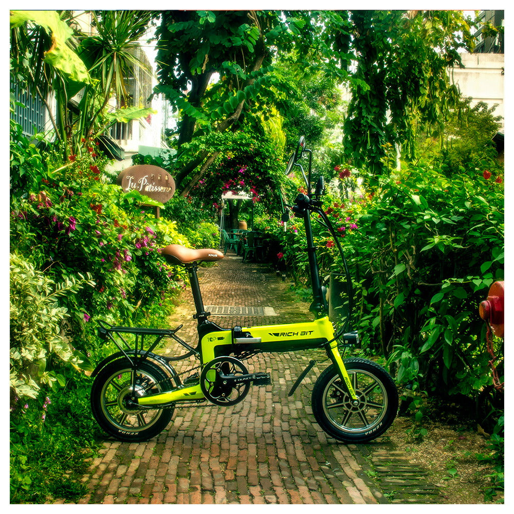 電動ハイブリッドバイク 14インチ RICHBIT TOP619 次世代型Smart eBike 