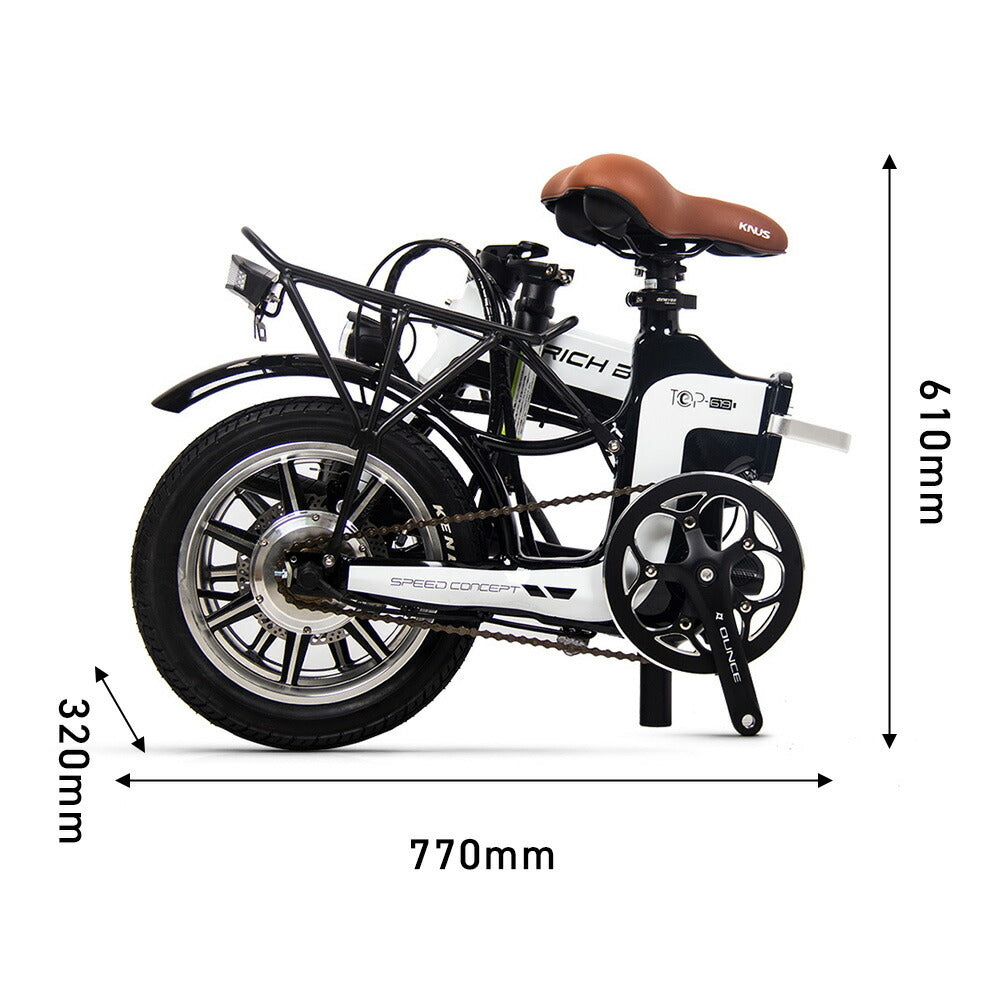 電動ハイブリッドバイク 14インチ RICHBIT TOP619 次世代型Smart eBike 
