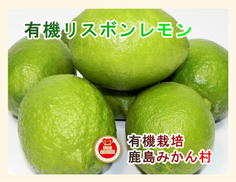 【フルーツ レモン 有機リスボンレモン】佐賀県 鹿島市 有機みかん佐藤農場有機栽培 リスボンレモン 3kg 採りたてを農園から産地直送 送料無料【ミカン 果実 ギフト 無農薬栽培】