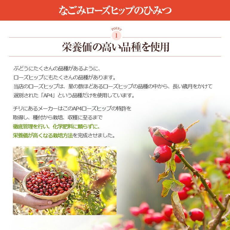 有機JAS オーガニック・ローズヒップ ファインカット100g 【送料無料】 【 ローズヒップティー  茶葉 ハーブティー リーフティー ノンカフェイン ハーブ ドライハーブ お茶 】