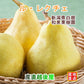 【フルーツ 梨 洋梨 ルレクチェ 送料無料】新潟県白根 梨栽培農家 和泉果樹園有機質肥料栽培 ペアベアギフトボックスペアベアルレクチェ 2個入り専用ギフトボックス入【贈ル・レクチェ 梨 答品 プレゼント】