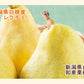 【フルーツ 梨 洋梨 ルレクチェ 送料無料】新潟県白根 梨栽培農家 和泉果樹園有機質肥料栽培 ルレクチェ 4kg(10個～14個）家庭用梨【ル・レクチェ 梨 ギフト プレゼント】