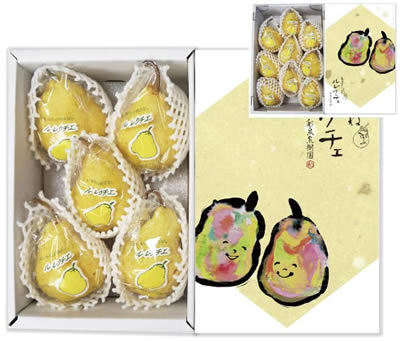 【フルーツ 梨 洋梨 ルレクチェ 送料無料】新潟県白根 梨栽培農家 和泉果樹園有機質肥料栽培 ルレクチェ 3kg(6個～9個）化粧箱入【ル・レクチェ 梨 贈答品 プレゼント】