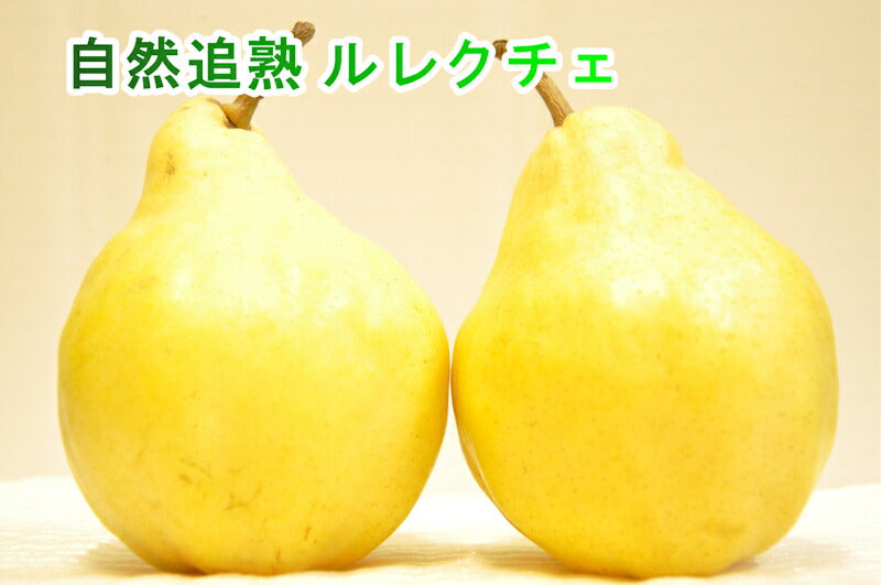 【フルーツ 洋梨 ルレクチェ 送料無料】新潟県 エコファーマー認定農園 土田農園 有機栽培 幻の洋梨ルレクチェ贈答用 1kg(2個～3個）【ル・レクチェ なし 贈答品 プレゼント】