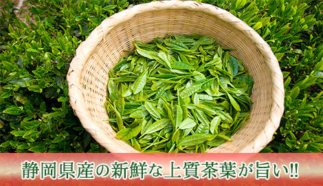緑茶 粉末 90g (大容量450杯分 ペットボトル180本分) LOHAStyle(ロハスタイル)