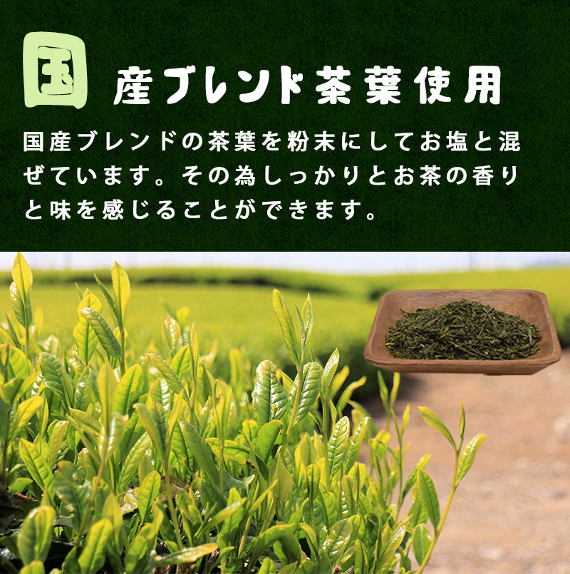 100g  茶塩 煎茶