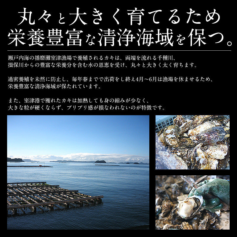 1kg（10個前後）牡蠣  生食用 殻付き
