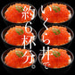 【限定30セット特別価格】いくら 鱒 イクラ 醤油漬け 500g