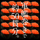 いくら 鱒 イクラ 醤油漬け 500g