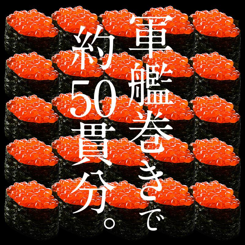 【限定30セット特別価格】いくら 鱒 イクラ 醤油漬け 500g