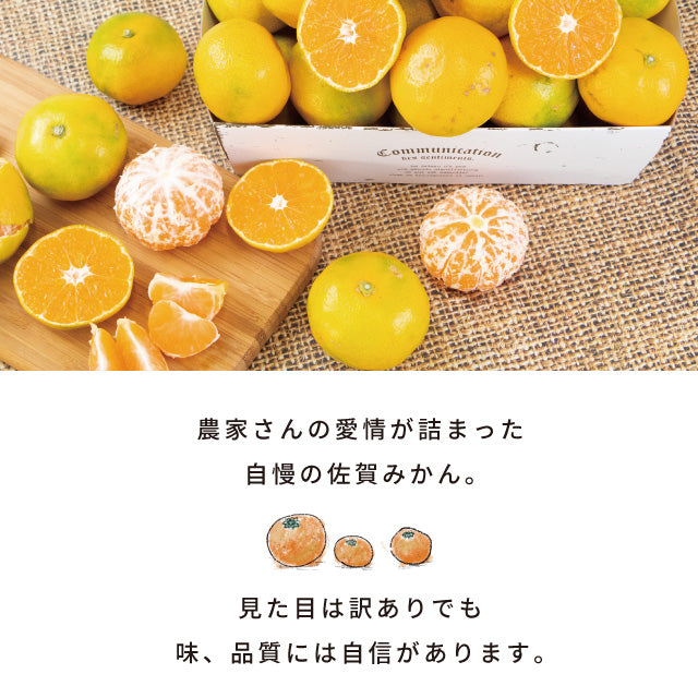 みかん10kg訳あり佐賀みかん10kg未選別Sサイズ〜3Lサイズ詰合せ家庭用4〜5個（300〜400g）