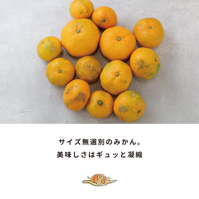 みかん10kg訳あり佐賀みかん10kg未選別Sサイズ〜3Lサイズ詰合せ家庭用4〜5個（300〜400g）