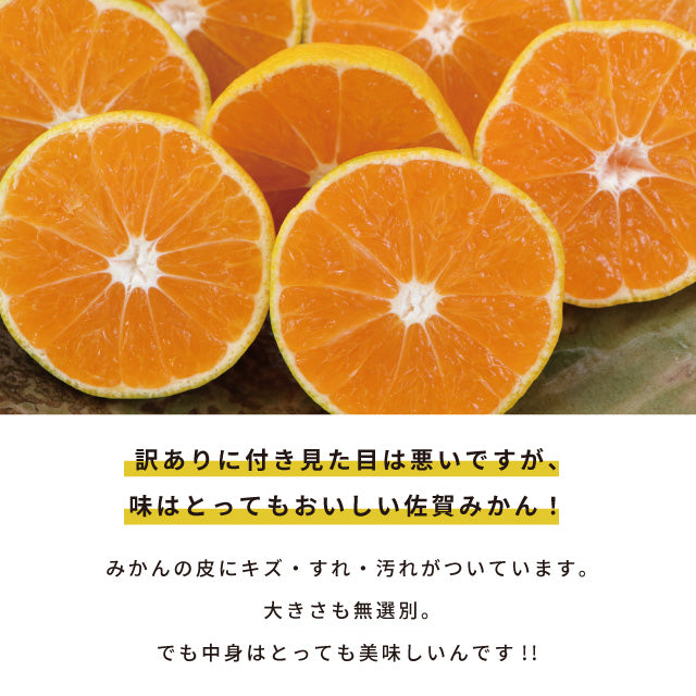 みかん10kg訳あり佐賀みかん10kg未選別Sサイズ〜3Lサイズ詰合せ家庭用4〜5個（300〜400g）