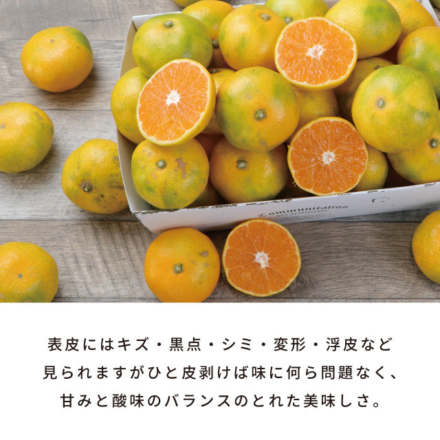 みかん10kg訳あり佐賀みかん10kg未選別Sサイズ〜3Lサイズ詰合せ家庭用4〜5個（300〜400g）