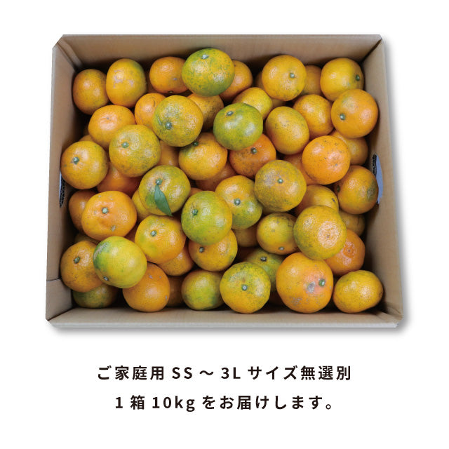 みかん10kg訳あり佐賀みかん10kg未選別Sサイズ〜3Lサイズ詰合せ家庭用4〜5個（300〜400g）