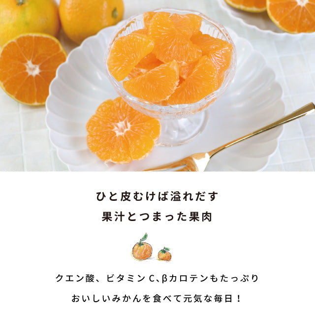 みかん10kg訳あり佐賀みかん10kg未選別Sサイズ〜3Lサイズ詰合せ家庭用4〜5個（300〜400g）