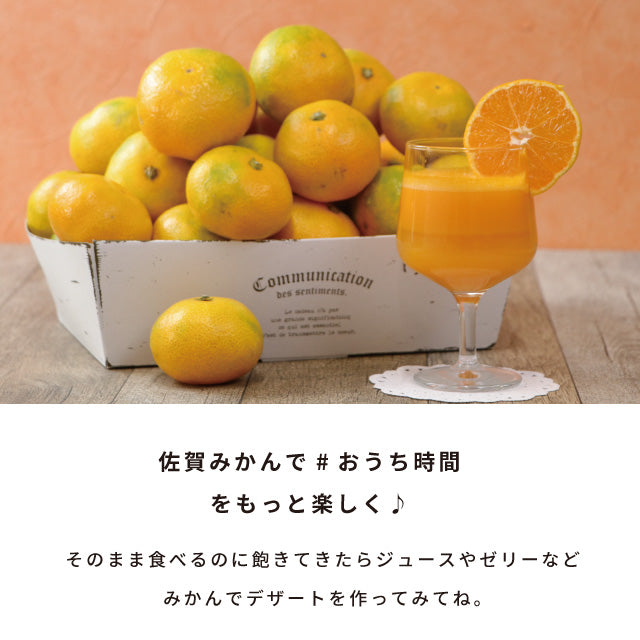 みかん10kg訳あり佐賀みかん10kg未選別Sサイズ〜3Lサイズ詰合せ家庭用4〜5個（300〜400g）
