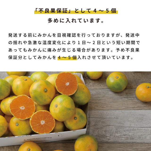みかん10kg訳あり佐賀みかん10kg未選別Sサイズ〜3Lサイズ詰合せ家庭用4〜5個（300〜400g）