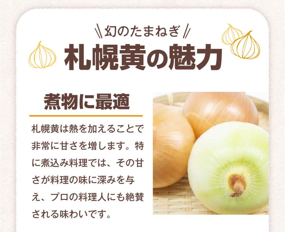 北海道産玉ねぎ10kg詰！サイズ混合、キズ・変形ありのため訳あり特価！