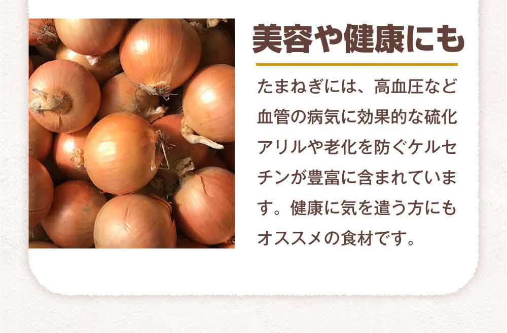 北海道産玉ねぎ10kg詰！サイズ混合、キズ・変形ありのため訳あり特価！
