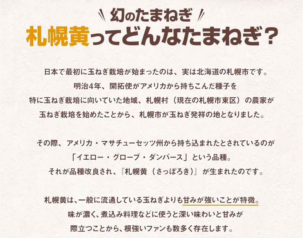 北海道産玉ねぎ10kg詰！サイズ混合、キズ・変形ありのため訳あり特価！