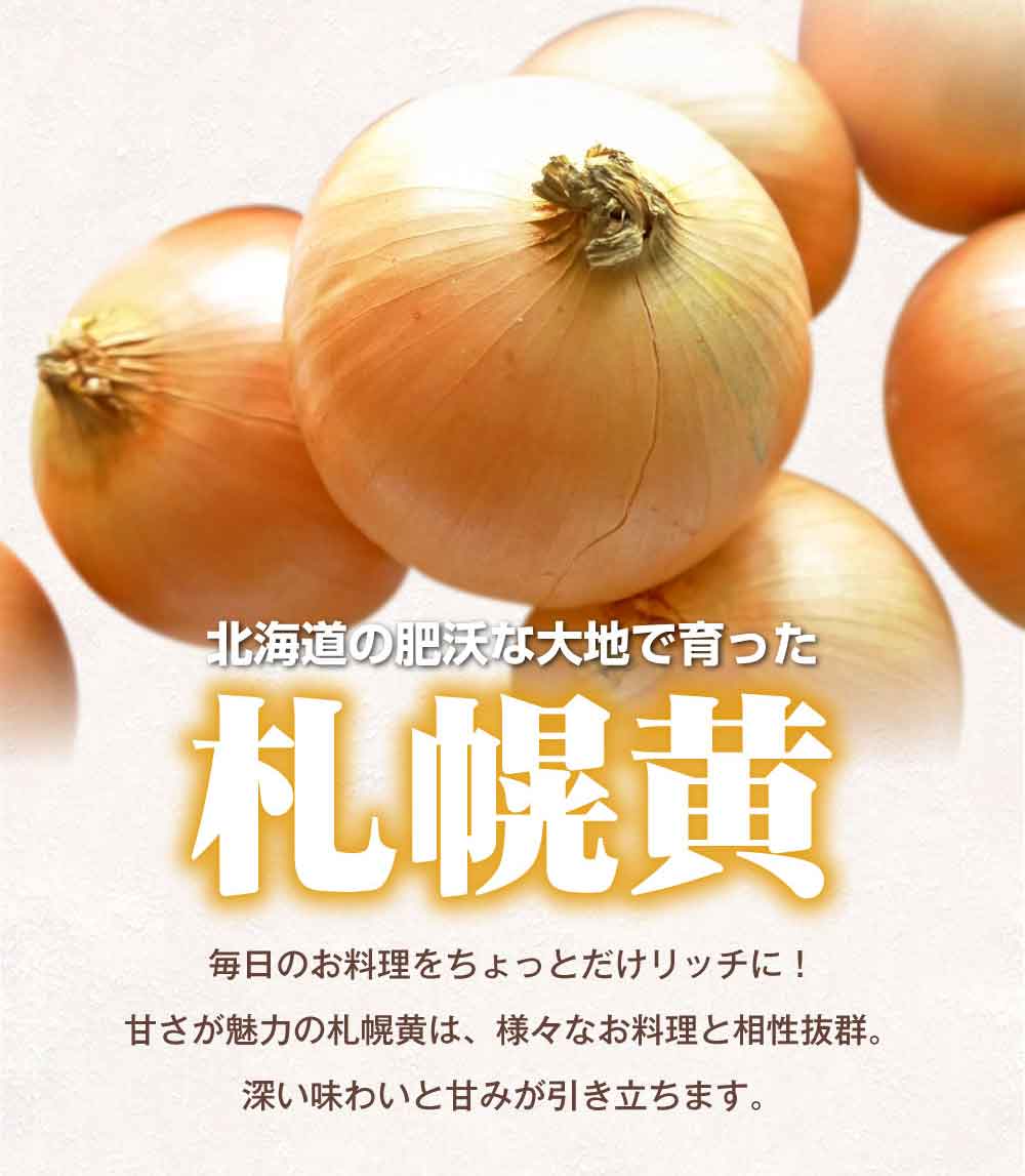 北海道産玉ねぎ10kg詰！サイズ混合、キズ・変形ありのため訳あり特価！