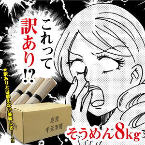 島原手延べ そうめん 8キロ 送料無料 160束